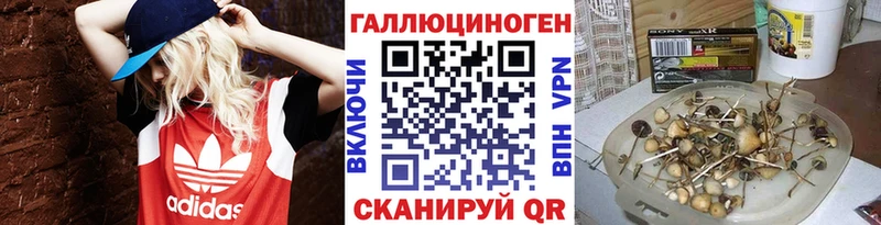 Галлюциногенные грибы GOLDEN TEACHER  Углегорск 